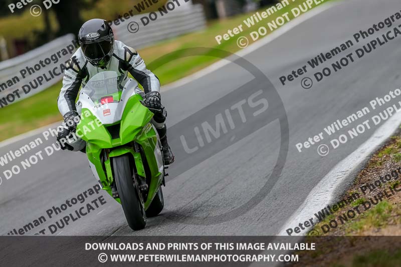 Oulton Park 17 Aug 2018;PJ Motorsport Photography 2018;anglesey;brands hatch;cadwell park;croft;donington park;enduro digital images;event digital images;eventdigitalimages;mallory;no limits;oulton park;peter wileman photography;racing digital images;silverstone;snetterton;trackday digital images;trackday photos;vmcc banbury run;welsh 2 day enduro