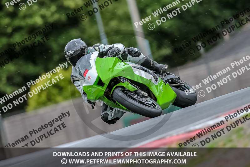 Oulton Park 17 Aug 2018;PJ Motorsport Photography 2018;anglesey;brands hatch;cadwell park;croft;donington park;enduro digital images;event digital images;eventdigitalimages;mallory;no limits;oulton park;peter wileman photography;racing digital images;silverstone;snetterton;trackday digital images;trackday photos;vmcc banbury run;welsh 2 day enduro