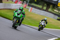 Oulton-Park-17-Aug-2018;PJ-Motorsport-Photography-2018;anglesey;brands-hatch;cadwell-park;croft;donington-park;enduro-digital-images;event-digital-images;eventdigitalimages;mallory;no-limits;oulton-park;peter-wileman-photography;racing-digital-images;silverstone;snetterton;trackday-digital-images;trackday-photos;vmcc-banbury-run;welsh-2-day-enduro