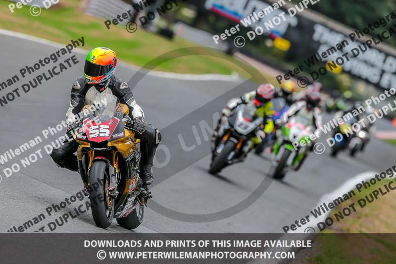 Oulton Park 17 Aug 2018;PJ Motorsport Photography 2018;anglesey;brands hatch;cadwell park;croft;donington park;enduro digital images;event digital images;eventdigitalimages;mallory;no limits;oulton park;peter wileman photography;racing digital images;silverstone;snetterton;trackday digital images;trackday photos;vmcc banbury run;welsh 2 day enduro