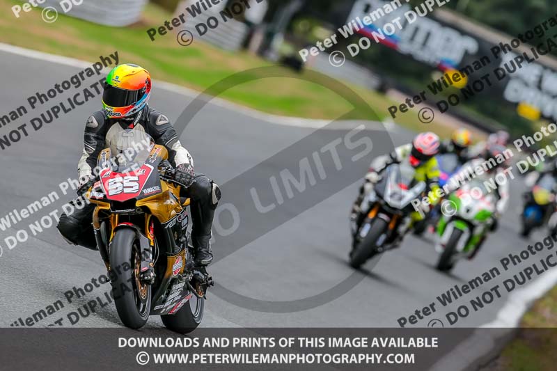 Oulton Park 17 Aug 2018;PJ Motorsport Photography 2018;anglesey;brands hatch;cadwell park;croft;donington park;enduro digital images;event digital images;eventdigitalimages;mallory;no limits;oulton park;peter wileman photography;racing digital images;silverstone;snetterton;trackday digital images;trackday photos;vmcc banbury run;welsh 2 day enduro