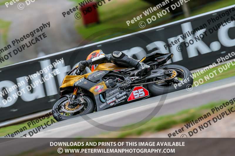 Oulton Park 17 Aug 2018;PJ Motorsport Photography 2018;anglesey;brands hatch;cadwell park;croft;donington park;enduro digital images;event digital images;eventdigitalimages;mallory;no limits;oulton park;peter wileman photography;racing digital images;silverstone;snetterton;trackday digital images;trackday photos;vmcc banbury run;welsh 2 day enduro