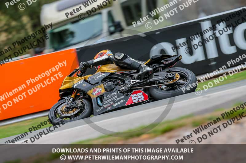 Oulton Park 17 Aug 2018;PJ Motorsport Photography 2018;anglesey;brands hatch;cadwell park;croft;donington park;enduro digital images;event digital images;eventdigitalimages;mallory;no limits;oulton park;peter wileman photography;racing digital images;silverstone;snetterton;trackday digital images;trackday photos;vmcc banbury run;welsh 2 day enduro