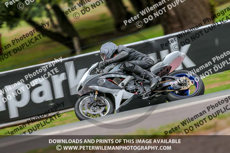 Oulton Park 17 Aug 2018;PJ Motorsport Photography 2018;anglesey;brands hatch;cadwell park;croft;donington park;enduro digital images;event digital images;eventdigitalimages;mallory;no limits;oulton park;peter wileman photography;racing digital images;silverstone;snetterton;trackday digital images;trackday photos;vmcc banbury run;welsh 2 day enduro