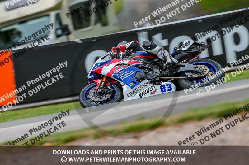 Oulton Park 17 Aug 2018;PJ Motorsport Photography 2018;anglesey;brands hatch;cadwell park;croft;donington park;enduro digital images;event digital images;eventdigitalimages;mallory;no limits;oulton park;peter wileman photography;racing digital images;silverstone;snetterton;trackday digital images;trackday photos;vmcc banbury run;welsh 2 day enduro