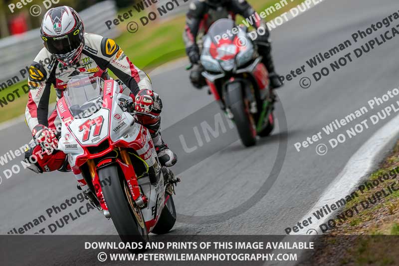 Oulton Park 17 Aug 2018;PJ Motorsport Photography 2018;anglesey;brands hatch;cadwell park;croft;donington park;enduro digital images;event digital images;eventdigitalimages;mallory;no limits;oulton park;peter wileman photography;racing digital images;silverstone;snetterton;trackday digital images;trackday photos;vmcc banbury run;welsh 2 day enduro