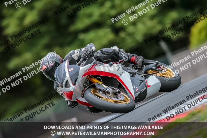 Oulton Park 17 Aug 2018;PJ Motorsport Photography 2018;anglesey;brands hatch;cadwell park;croft;donington park;enduro digital images;event digital images;eventdigitalimages;mallory;no limits;oulton park;peter wileman photography;racing digital images;silverstone;snetterton;trackday digital images;trackday photos;vmcc banbury run;welsh 2 day enduro