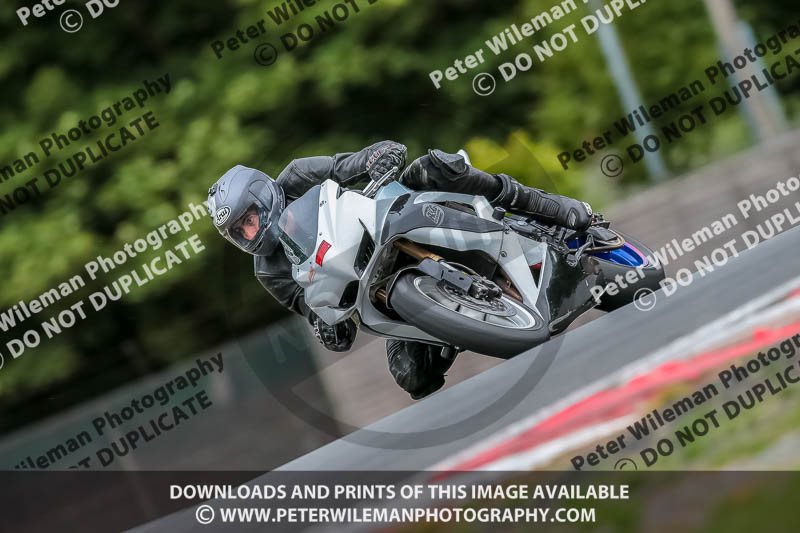 Oulton Park 17 Aug 2018;PJ Motorsport Photography 2018;anglesey;brands hatch;cadwell park;croft;donington park;enduro digital images;event digital images;eventdigitalimages;mallory;no limits;oulton park;peter wileman photography;racing digital images;silverstone;snetterton;trackday digital images;trackday photos;vmcc banbury run;welsh 2 day enduro