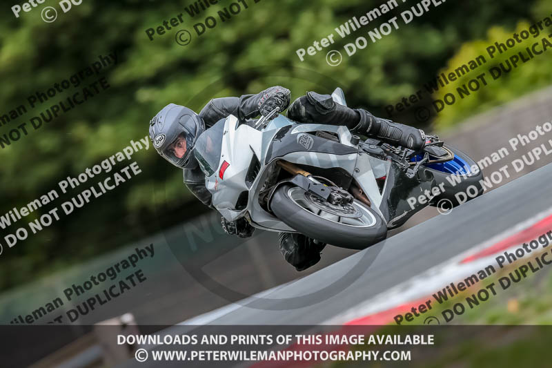 Oulton Park 17 Aug 2018;PJ Motorsport Photography 2018;anglesey;brands hatch;cadwell park;croft;donington park;enduro digital images;event digital images;eventdigitalimages;mallory;no limits;oulton park;peter wileman photography;racing digital images;silverstone;snetterton;trackday digital images;trackday photos;vmcc banbury run;welsh 2 day enduro