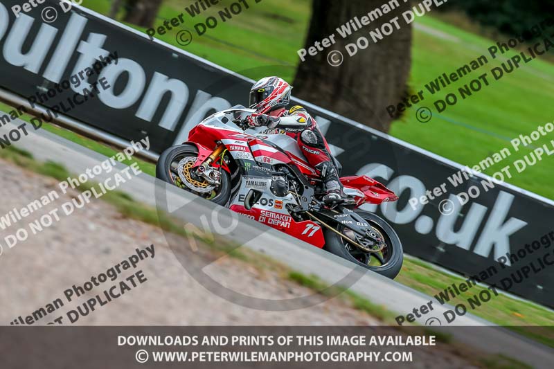 Oulton Park 17 Aug 2018;PJ Motorsport Photography 2018;anglesey;brands hatch;cadwell park;croft;donington park;enduro digital images;event digital images;eventdigitalimages;mallory;no limits;oulton park;peter wileman photography;racing digital images;silverstone;snetterton;trackday digital images;trackday photos;vmcc banbury run;welsh 2 day enduro