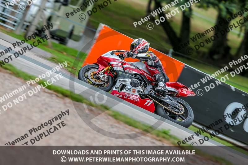 Oulton Park 17 Aug 2018;PJ Motorsport Photography 2018;anglesey;brands hatch;cadwell park;croft;donington park;enduro digital images;event digital images;eventdigitalimages;mallory;no limits;oulton park;peter wileman photography;racing digital images;silverstone;snetterton;trackday digital images;trackday photos;vmcc banbury run;welsh 2 day enduro