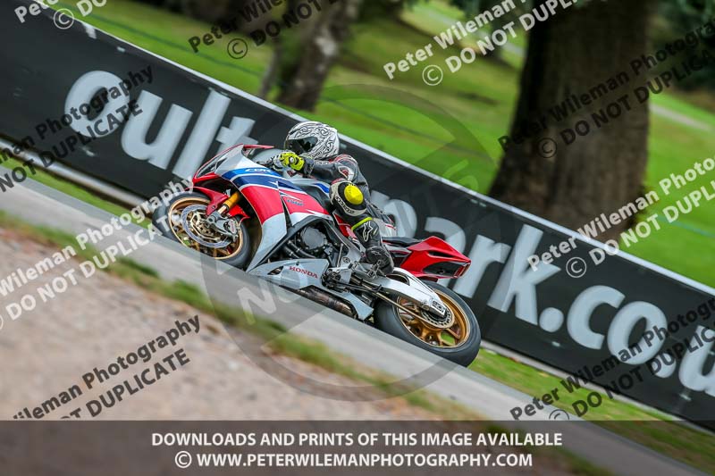 Oulton Park 17 Aug 2018;PJ Motorsport Photography 2018;anglesey;brands hatch;cadwell park;croft;donington park;enduro digital images;event digital images;eventdigitalimages;mallory;no limits;oulton park;peter wileman photography;racing digital images;silverstone;snetterton;trackday digital images;trackday photos;vmcc banbury run;welsh 2 day enduro