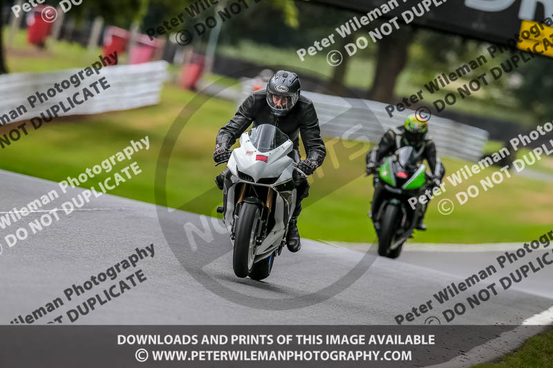 Oulton Park 17 Aug 2018;PJ Motorsport Photography 2018;anglesey;brands hatch;cadwell park;croft;donington park;enduro digital images;event digital images;eventdigitalimages;mallory;no limits;oulton park;peter wileman photography;racing digital images;silverstone;snetterton;trackday digital images;trackday photos;vmcc banbury run;welsh 2 day enduro