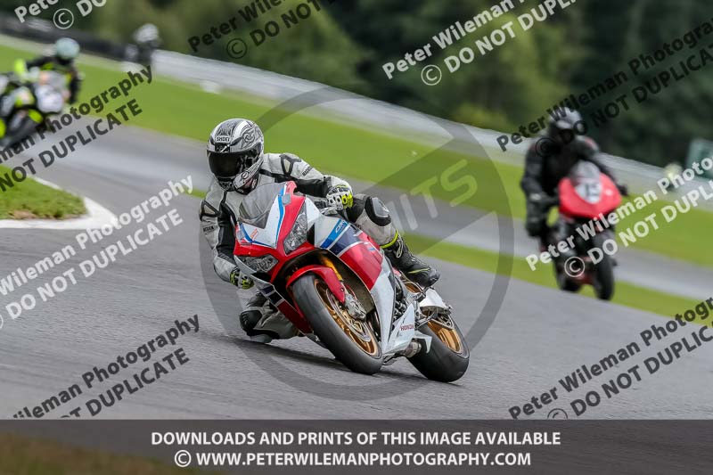 Oulton Park 17 Aug 2018;PJ Motorsport Photography 2018;anglesey;brands hatch;cadwell park;croft;donington park;enduro digital images;event digital images;eventdigitalimages;mallory;no limits;oulton park;peter wileman photography;racing digital images;silverstone;snetterton;trackday digital images;trackday photos;vmcc banbury run;welsh 2 day enduro