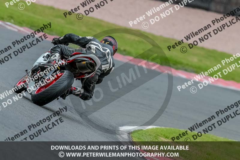 Oulton Park 17 Aug 2018;PJ Motorsport Photography 2018;anglesey;brands hatch;cadwell park;croft;donington park;enduro digital images;event digital images;eventdigitalimages;mallory;no limits;oulton park;peter wileman photography;racing digital images;silverstone;snetterton;trackday digital images;trackday photos;vmcc banbury run;welsh 2 day enduro