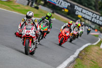 Oulton-Park-17-Aug-2018;PJ-Motorsport-Photography-2018;anglesey;brands-hatch;cadwell-park;croft;donington-park;enduro-digital-images;event-digital-images;eventdigitalimages;mallory;no-limits;oulton-park;peter-wileman-photography;racing-digital-images;silverstone;snetterton;trackday-digital-images;trackday-photos;vmcc-banbury-run;welsh-2-day-enduro