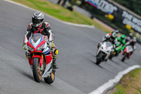 Oulton-Park-17-Aug-2018;PJ-Motorsport-Photography-2018;anglesey;brands-hatch;cadwell-park;croft;donington-park;enduro-digital-images;event-digital-images;eventdigitalimages;mallory;no-limits;oulton-park;peter-wileman-photography;racing-digital-images;silverstone;snetterton;trackday-digital-images;trackday-photos;vmcc-banbury-run;welsh-2-day-enduro