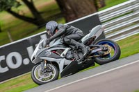 Oulton-Park-17-Aug-2018;PJ-Motorsport-Photography-2018;anglesey;brands-hatch;cadwell-park;croft;donington-park;enduro-digital-images;event-digital-images;eventdigitalimages;mallory;no-limits;oulton-park;peter-wileman-photography;racing-digital-images;silverstone;snetterton;trackday-digital-images;trackday-photos;vmcc-banbury-run;welsh-2-day-enduro