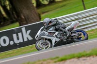 Oulton-Park-17-Aug-2018;PJ-Motorsport-Photography-2018;anglesey;brands-hatch;cadwell-park;croft;donington-park;enduro-digital-images;event-digital-images;eventdigitalimages;mallory;no-limits;oulton-park;peter-wileman-photography;racing-digital-images;silverstone;snetterton;trackday-digital-images;trackday-photos;vmcc-banbury-run;welsh-2-day-enduro