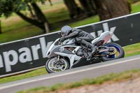 Oulton-Park-17-Aug-2018;PJ-Motorsport-Photography-2018;anglesey;brands-hatch;cadwell-park;croft;donington-park;enduro-digital-images;event-digital-images;eventdigitalimages;mallory;no-limits;oulton-park;peter-wileman-photography;racing-digital-images;silverstone;snetterton;trackday-digital-images;trackday-photos;vmcc-banbury-run;welsh-2-day-enduro