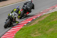 Oulton-Park-17-Aug-2018;PJ-Motorsport-Photography-2018;anglesey;brands-hatch;cadwell-park;croft;donington-park;enduro-digital-images;event-digital-images;eventdigitalimages;mallory;no-limits;oulton-park;peter-wileman-photography;racing-digital-images;silverstone;snetterton;trackday-digital-images;trackday-photos;vmcc-banbury-run;welsh-2-day-enduro