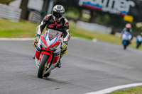 Oulton-Park-17-Aug-2018;PJ-Motorsport-Photography-2018;anglesey;brands-hatch;cadwell-park;croft;donington-park;enduro-digital-images;event-digital-images;eventdigitalimages;mallory;no-limits;oulton-park;peter-wileman-photography;racing-digital-images;silverstone;snetterton;trackday-digital-images;trackday-photos;vmcc-banbury-run;welsh-2-day-enduro