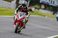 Oulton-Park-17-Aug-2018;PJ-Motorsport-Photography-2018;anglesey;brands-hatch;cadwell-park;croft;donington-park;enduro-digital-images;event-digital-images;eventdigitalimages;mallory;no-limits;oulton-park;peter-wileman-photography;racing-digital-images;silverstone;snetterton;trackday-digital-images;trackday-photos;vmcc-banbury-run;welsh-2-day-enduro