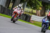 Oulton-Park-17-Aug-2018;PJ-Motorsport-Photography-2018;anglesey;brands-hatch;cadwell-park;croft;donington-park;enduro-digital-images;event-digital-images;eventdigitalimages;mallory;no-limits;oulton-park;peter-wileman-photography;racing-digital-images;silverstone;snetterton;trackday-digital-images;trackday-photos;vmcc-banbury-run;welsh-2-day-enduro