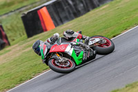 Oulton-Park-17-Aug-2018;PJ-Motorsport-Photography-2018;anglesey;brands-hatch;cadwell-park;croft;donington-park;enduro-digital-images;event-digital-images;eventdigitalimages;mallory;no-limits;oulton-park;peter-wileman-photography;racing-digital-images;silverstone;snetterton;trackday-digital-images;trackday-photos;vmcc-banbury-run;welsh-2-day-enduro