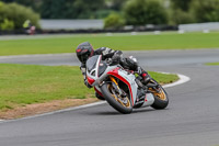 Oulton-Park-17-Aug-2018;PJ-Motorsport-Photography-2018;anglesey;brands-hatch;cadwell-park;croft;donington-park;enduro-digital-images;event-digital-images;eventdigitalimages;mallory;no-limits;oulton-park;peter-wileman-photography;racing-digital-images;silverstone;snetterton;trackday-digital-images;trackday-photos;vmcc-banbury-run;welsh-2-day-enduro