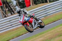 Oulton-Park-17-Aug-2018;PJ-Motorsport-Photography-2018;anglesey;brands-hatch;cadwell-park;croft;donington-park;enduro-digital-images;event-digital-images;eventdigitalimages;mallory;no-limits;oulton-park;peter-wileman-photography;racing-digital-images;silverstone;snetterton;trackday-digital-images;trackday-photos;vmcc-banbury-run;welsh-2-day-enduro