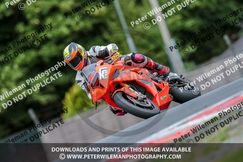 Oulton Park 17 Aug 2018;PJ Motorsport Photography 2018;anglesey;brands hatch;cadwell park;croft;donington park;enduro digital images;event digital images;eventdigitalimages;mallory;no limits;oulton park;peter wileman photography;racing digital images;silverstone;snetterton;trackday digital images;trackday photos;vmcc banbury run;welsh 2 day enduro