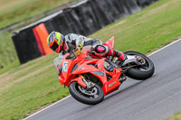 Oulton-Park-17-Aug-2018;PJ-Motorsport-Photography-2018;anglesey;brands-hatch;cadwell-park;croft;donington-park;enduro-digital-images;event-digital-images;eventdigitalimages;mallory;no-limits;oulton-park;peter-wileman-photography;racing-digital-images;silverstone;snetterton;trackday-digital-images;trackday-photos;vmcc-banbury-run;welsh-2-day-enduro