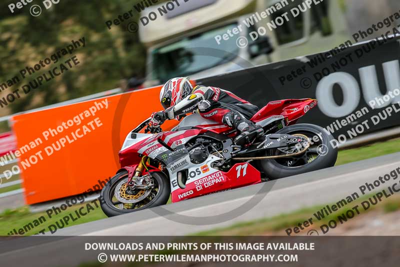 Oulton Park 17 Aug 2018;PJ Motorsport Photography 2018;anglesey;brands hatch;cadwell park;croft;donington park;enduro digital images;event digital images;eventdigitalimages;mallory;no limits;oulton park;peter wileman photography;racing digital images;silverstone;snetterton;trackday digital images;trackday photos;vmcc banbury run;welsh 2 day enduro