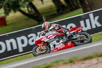 Oulton-Park-17-Aug-2018;PJ-Motorsport-Photography-2018;anglesey;brands-hatch;cadwell-park;croft;donington-park;enduro-digital-images;event-digital-images;eventdigitalimages;mallory;no-limits;oulton-park;peter-wileman-photography;racing-digital-images;silverstone;snetterton;trackday-digital-images;trackday-photos;vmcc-banbury-run;welsh-2-day-enduro