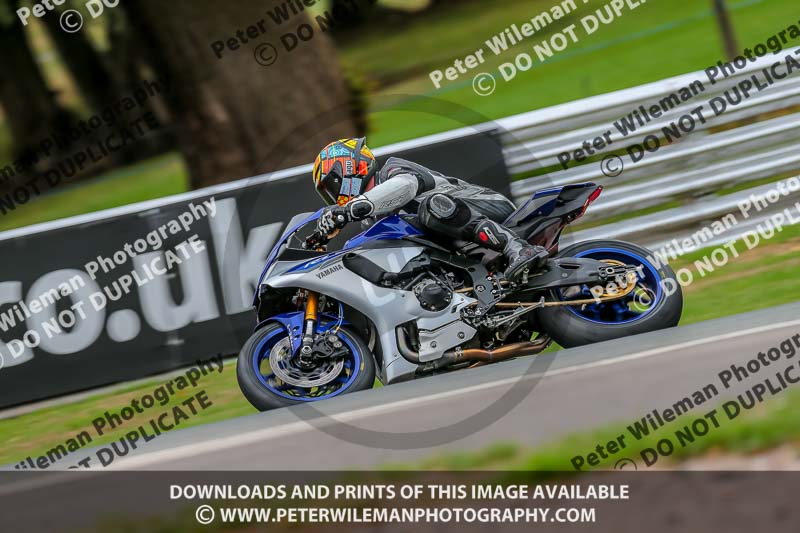 Oulton Park 17 Aug 2018;PJ Motorsport Photography 2018;anglesey;brands hatch;cadwell park;croft;donington park;enduro digital images;event digital images;eventdigitalimages;mallory;no limits;oulton park;peter wileman photography;racing digital images;silverstone;snetterton;trackday digital images;trackday photos;vmcc banbury run;welsh 2 day enduro