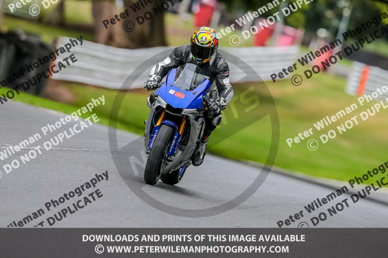 Oulton Park 17 Aug 2018;PJ Motorsport Photography 2018;anglesey;brands hatch;cadwell park;croft;donington park;enduro digital images;event digital images;eventdigitalimages;mallory;no limits;oulton park;peter wileman photography;racing digital images;silverstone;snetterton;trackday digital images;trackday photos;vmcc banbury run;welsh 2 day enduro