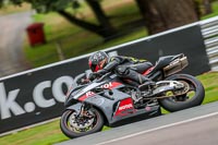 Oulton-Park-17-Aug-2018;PJ-Motorsport-Photography-2018;anglesey;brands-hatch;cadwell-park;croft;donington-park;enduro-digital-images;event-digital-images;eventdigitalimages;mallory;no-limits;oulton-park;peter-wileman-photography;racing-digital-images;silverstone;snetterton;trackday-digital-images;trackday-photos;vmcc-banbury-run;welsh-2-day-enduro