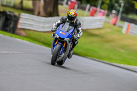 Oulton-Park-17-Aug-2018;PJ-Motorsport-Photography-2018;anglesey;brands-hatch;cadwell-park;croft;donington-park;enduro-digital-images;event-digital-images;eventdigitalimages;mallory;no-limits;oulton-park;peter-wileman-photography;racing-digital-images;silverstone;snetterton;trackday-digital-images;trackday-photos;vmcc-banbury-run;welsh-2-day-enduro