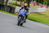 Oulton-Park-17-Aug-2018;PJ-Motorsport-Photography-2018;anglesey;brands-hatch;cadwell-park;croft;donington-park;enduro-digital-images;event-digital-images;eventdigitalimages;mallory;no-limits;oulton-park;peter-wileman-photography;racing-digital-images;silverstone;snetterton;trackday-digital-images;trackday-photos;vmcc-banbury-run;welsh-2-day-enduro