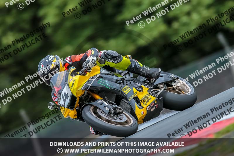 Oulton Park 17 Aug 2018;PJ Motorsport Photography 2018;anglesey;brands hatch;cadwell park;croft;donington park;enduro digital images;event digital images;eventdigitalimages;mallory;no limits;oulton park;peter wileman photography;racing digital images;silverstone;snetterton;trackday digital images;trackday photos;vmcc banbury run;welsh 2 day enduro