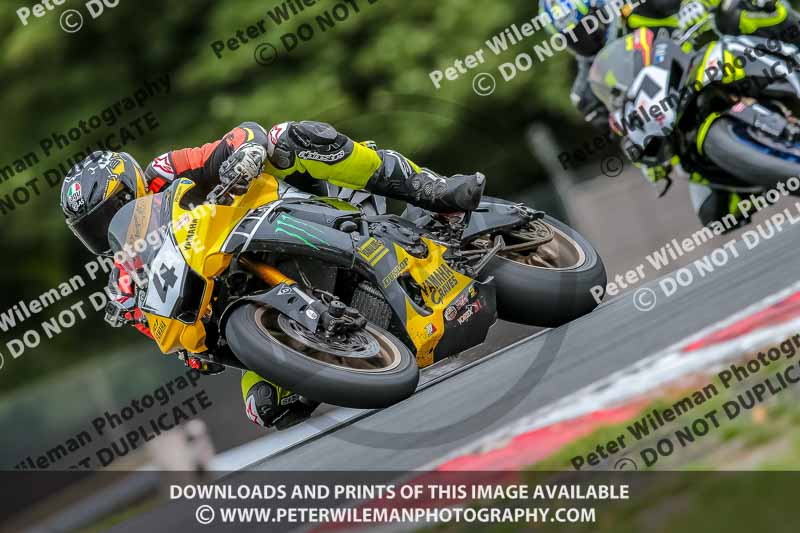 Oulton Park 17 Aug 2018;PJ Motorsport Photography 2018;anglesey;brands hatch;cadwell park;croft;donington park;enduro digital images;event digital images;eventdigitalimages;mallory;no limits;oulton park;peter wileman photography;racing digital images;silverstone;snetterton;trackday digital images;trackday photos;vmcc banbury run;welsh 2 day enduro