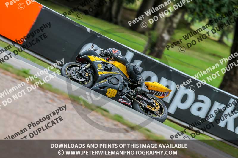 Oulton Park 17 Aug 2018;PJ Motorsport Photography 2018;anglesey;brands hatch;cadwell park;croft;donington park;enduro digital images;event digital images;eventdigitalimages;mallory;no limits;oulton park;peter wileman photography;racing digital images;silverstone;snetterton;trackday digital images;trackday photos;vmcc banbury run;welsh 2 day enduro