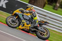 Oulton-Park-17-Aug-2018;PJ-Motorsport-Photography-2018;anglesey;brands-hatch;cadwell-park;croft;donington-park;enduro-digital-images;event-digital-images;eventdigitalimages;mallory;no-limits;oulton-park;peter-wileman-photography;racing-digital-images;silverstone;snetterton;trackday-digital-images;trackday-photos;vmcc-banbury-run;welsh-2-day-enduro