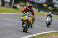 Oulton-Park-17-Aug-2018;PJ-Motorsport-Photography-2018;anglesey;brands-hatch;cadwell-park;croft;donington-park;enduro-digital-images;event-digital-images;eventdigitalimages;mallory;no-limits;oulton-park;peter-wileman-photography;racing-digital-images;silverstone;snetterton;trackday-digital-images;trackday-photos;vmcc-banbury-run;welsh-2-day-enduro