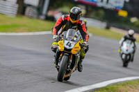 Oulton-Park-17-Aug-2018;PJ-Motorsport-Photography-2018;anglesey;brands-hatch;cadwell-park;croft;donington-park;enduro-digital-images;event-digital-images;eventdigitalimages;mallory;no-limits;oulton-park;peter-wileman-photography;racing-digital-images;silverstone;snetterton;trackday-digital-images;trackday-photos;vmcc-banbury-run;welsh-2-day-enduro