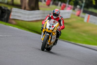 Oulton-Park-17-Aug-2018;PJ-Motorsport-Photography-2018;anglesey;brands-hatch;cadwell-park;croft;donington-park;enduro-digital-images;event-digital-images;eventdigitalimages;mallory;no-limits;oulton-park;peter-wileman-photography;racing-digital-images;silverstone;snetterton;trackday-digital-images;trackday-photos;vmcc-banbury-run;welsh-2-day-enduro