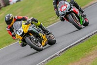 Oulton-Park-17-Aug-2018;PJ-Motorsport-Photography-2018;anglesey;brands-hatch;cadwell-park;croft;donington-park;enduro-digital-images;event-digital-images;eventdigitalimages;mallory;no-limits;oulton-park;peter-wileman-photography;racing-digital-images;silverstone;snetterton;trackday-digital-images;trackday-photos;vmcc-banbury-run;welsh-2-day-enduro