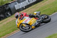 Oulton-Park-17-Aug-2018;PJ-Motorsport-Photography-2018;anglesey;brands-hatch;cadwell-park;croft;donington-park;enduro-digital-images;event-digital-images;eventdigitalimages;mallory;no-limits;oulton-park;peter-wileman-photography;racing-digital-images;silverstone;snetterton;trackday-digital-images;trackday-photos;vmcc-banbury-run;welsh-2-day-enduro