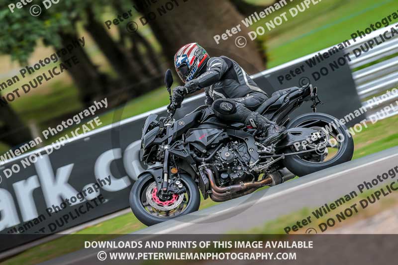 Oulton Park 17 Aug 2018;PJ Motorsport Photography 2018;anglesey;brands hatch;cadwell park;croft;donington park;enduro digital images;event digital images;eventdigitalimages;mallory;no limits;oulton park;peter wileman photography;racing digital images;silverstone;snetterton;trackday digital images;trackday photos;vmcc banbury run;welsh 2 day enduro